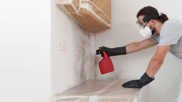 Professional Attic Mold Remediation technician working in Prides Crossing, MA